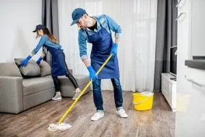 domestic cleaning