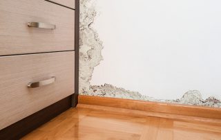 Removing mould from walls and windows